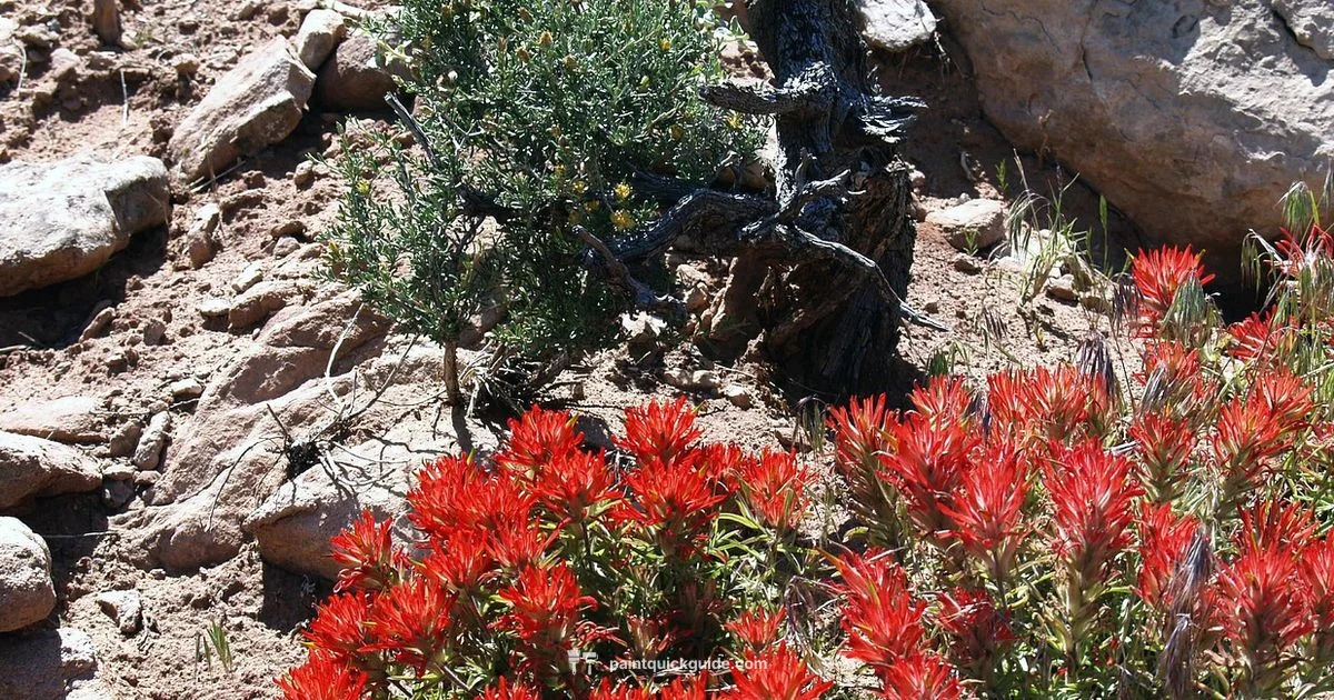 Floral Brush Techniques - PaintQuickGuide