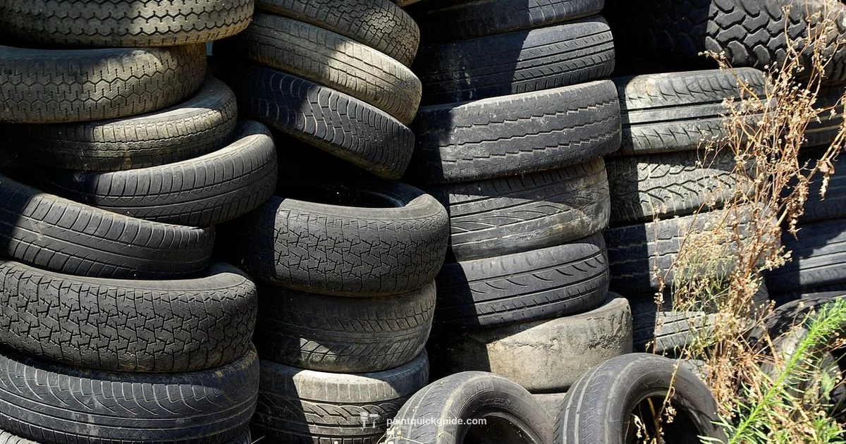 Paint Recycling Near Me Paint Recycling Near Me - PaintQuickGuide