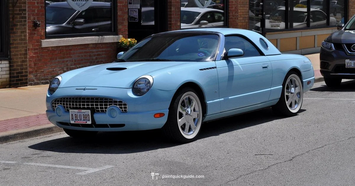 Basic Car Paint - PaintQuickGuide